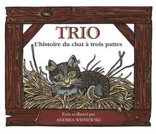 Trio : L’histoire du chat à trois pattes