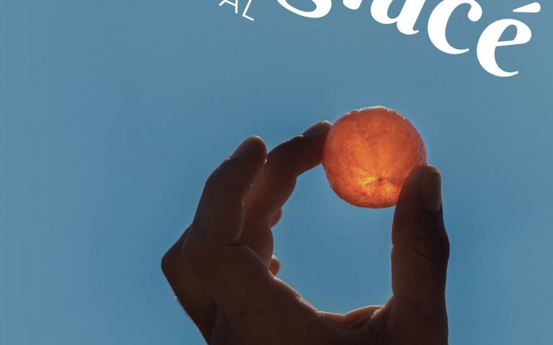 Soleil glacé