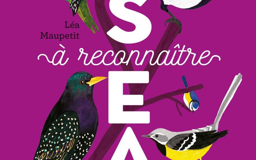 Oiseaux à reconnaître