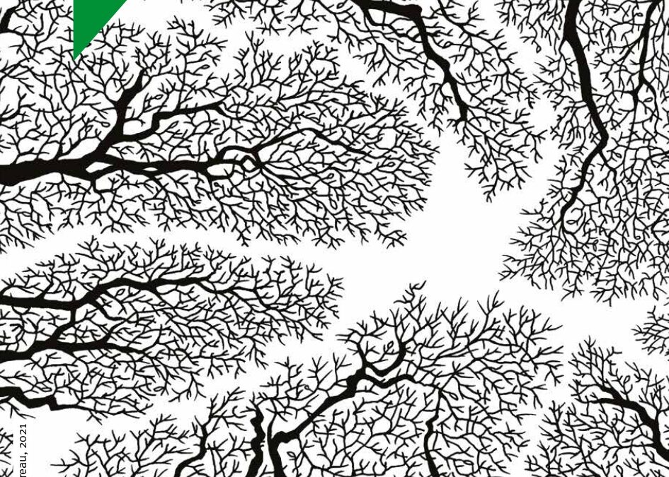 « Laurent Tillon l’amoureux des arbres », un podcast Radio Label Verte