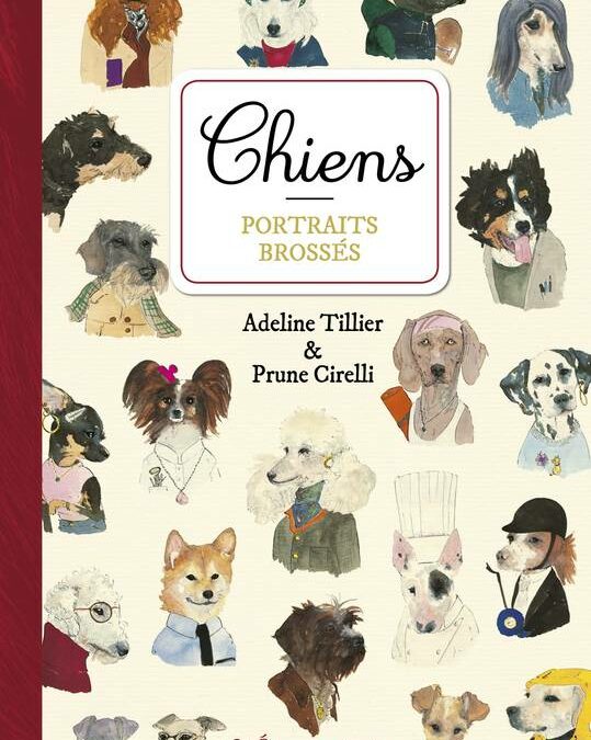 Chiens, portraits brossés