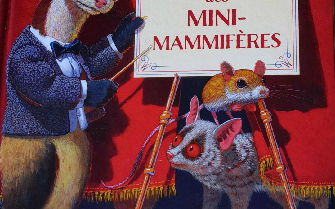 À la rencontre des mini-mammifères