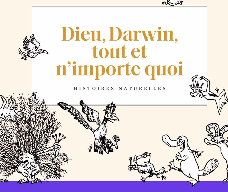 Dieu, Darwin, tout et n&rsquo;importe quoi