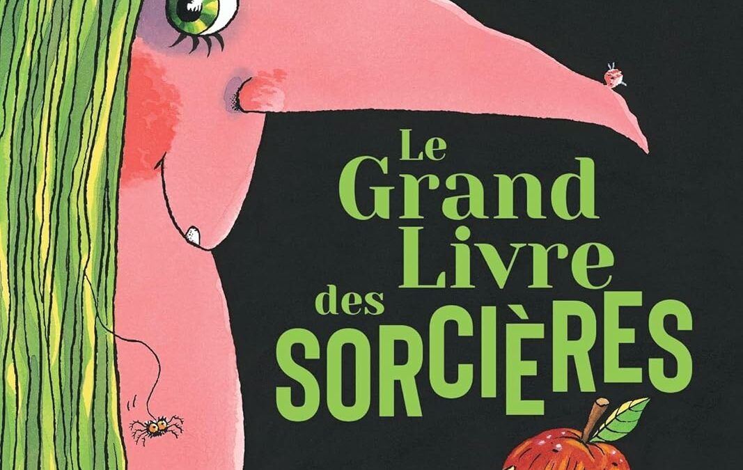 Le grand livre des sorcières