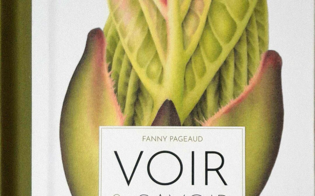 Voir et savoir dans l’intimité du monde végétal