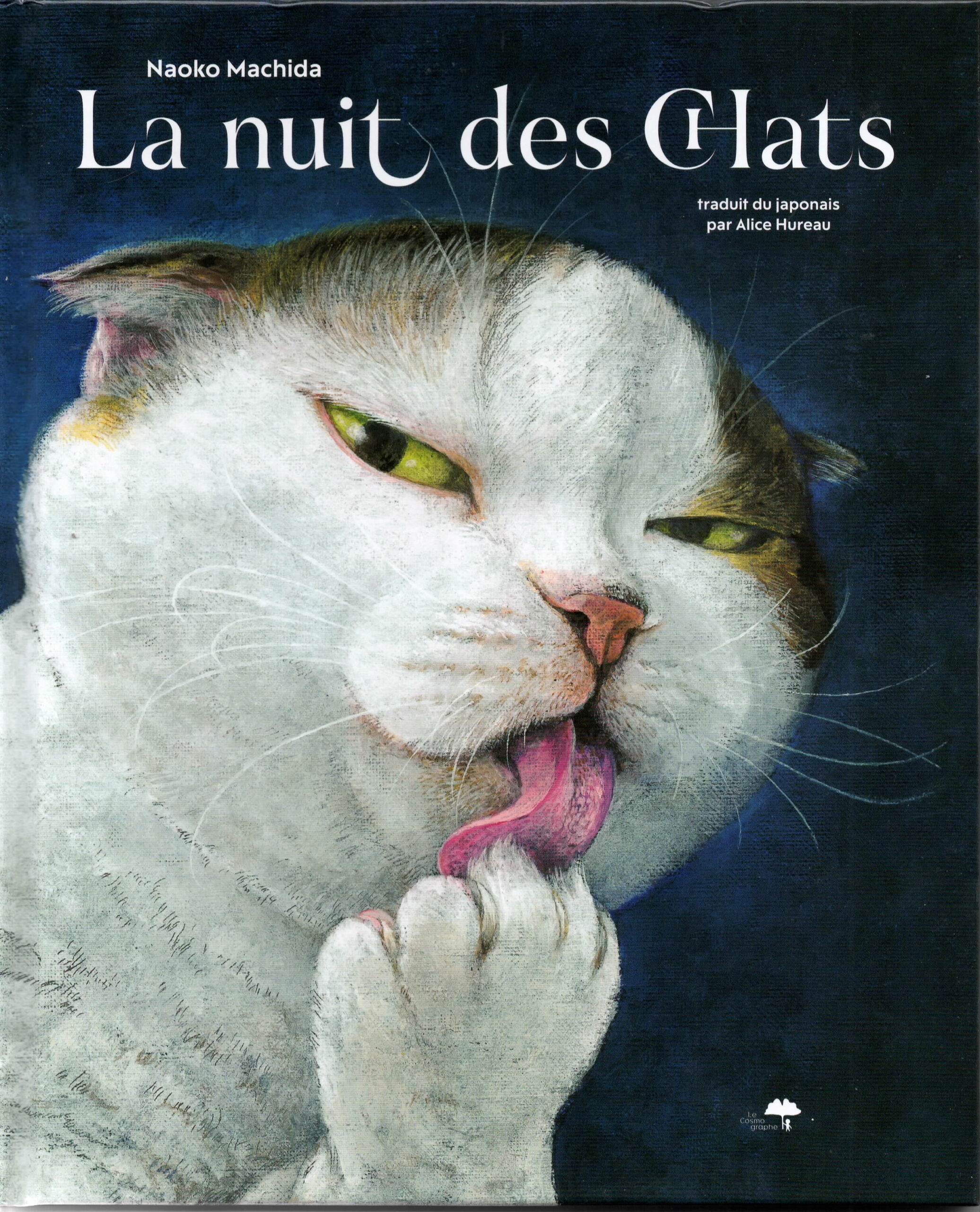 La nuit des chats